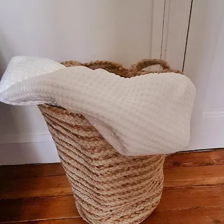 30m2 1 Et 1 Canape Lit A 2 Pas De La Et Du Centre * ヴィムルー